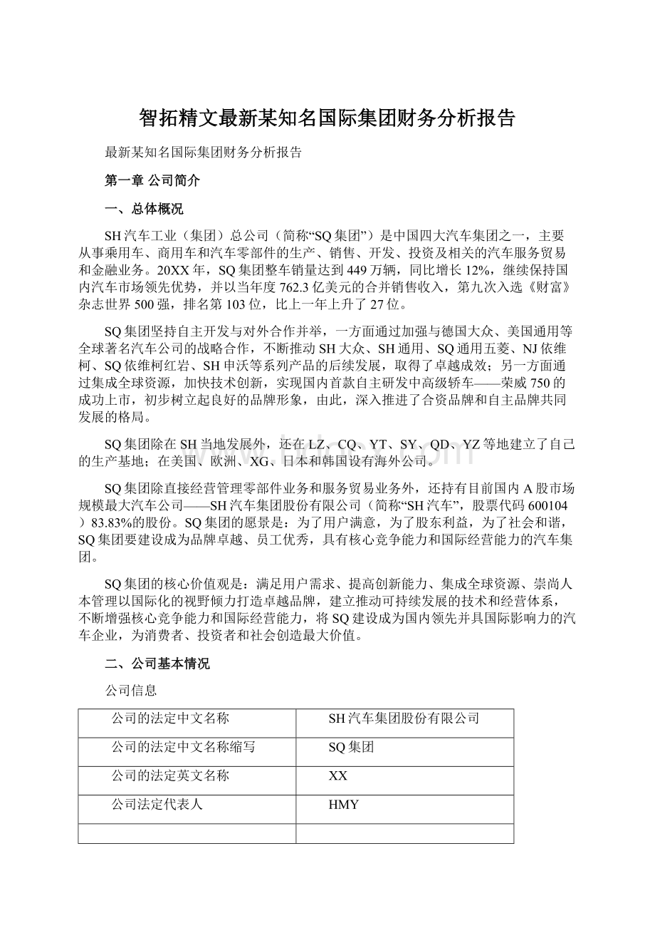 智拓精文最新某知名国际集团财务分析报告.docx