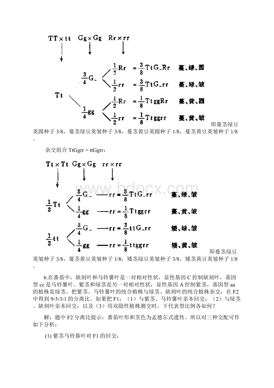9A文遗传学课后习题及答案刘祖洞.docx_第3页