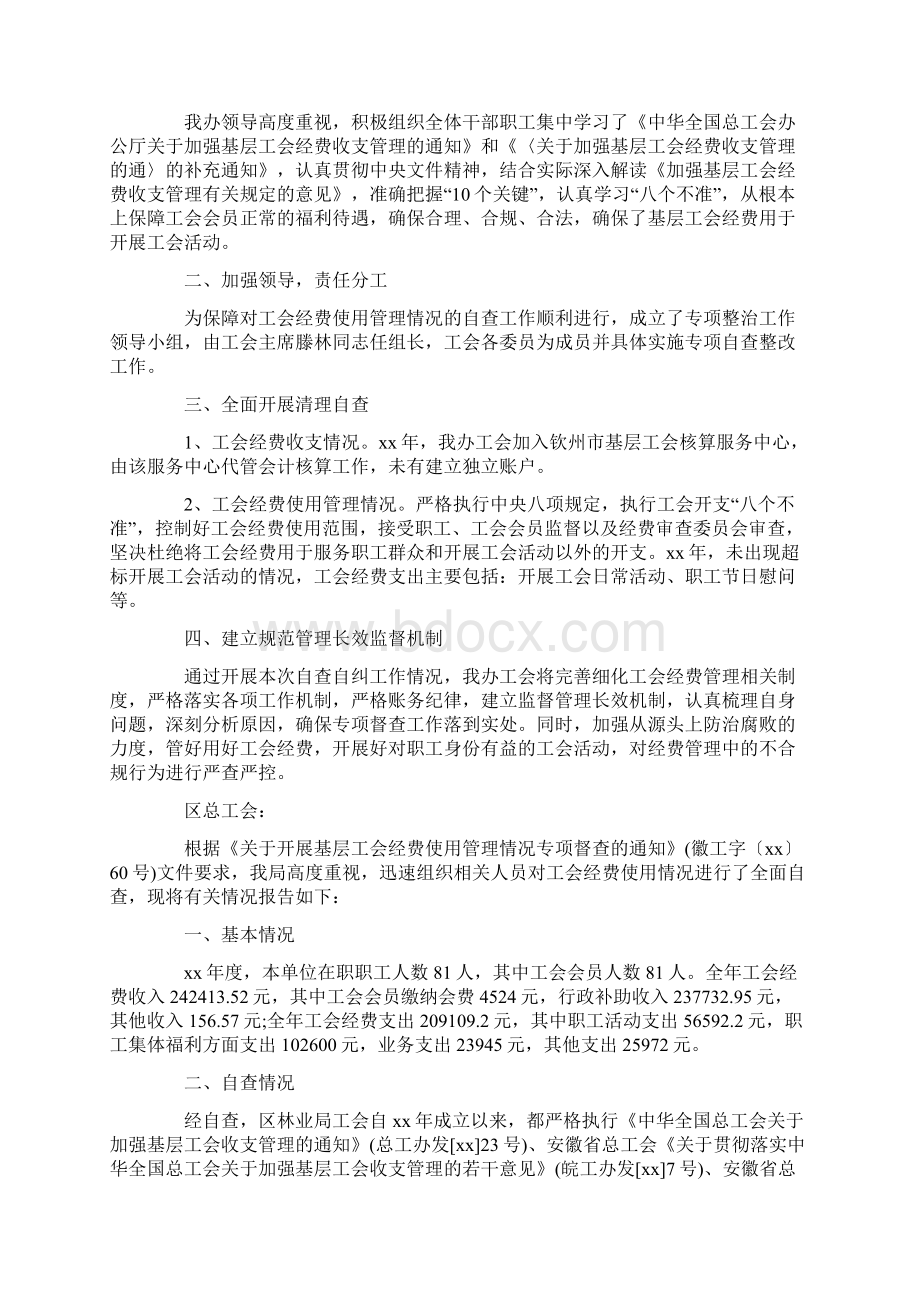 工会经费使用管理情况自查报告.docx_第3页