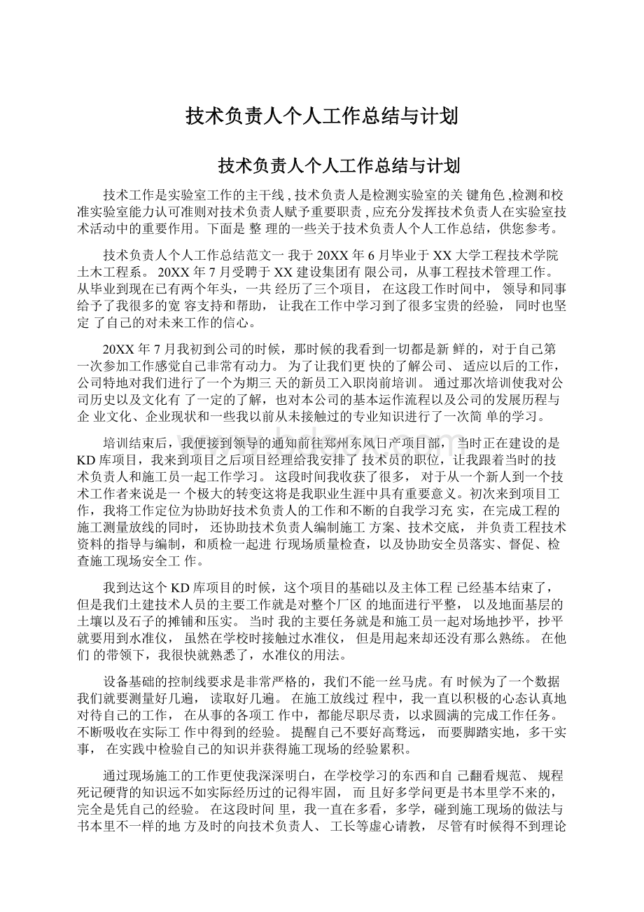 技术负责人个人工作总结与计划.docx_第1页