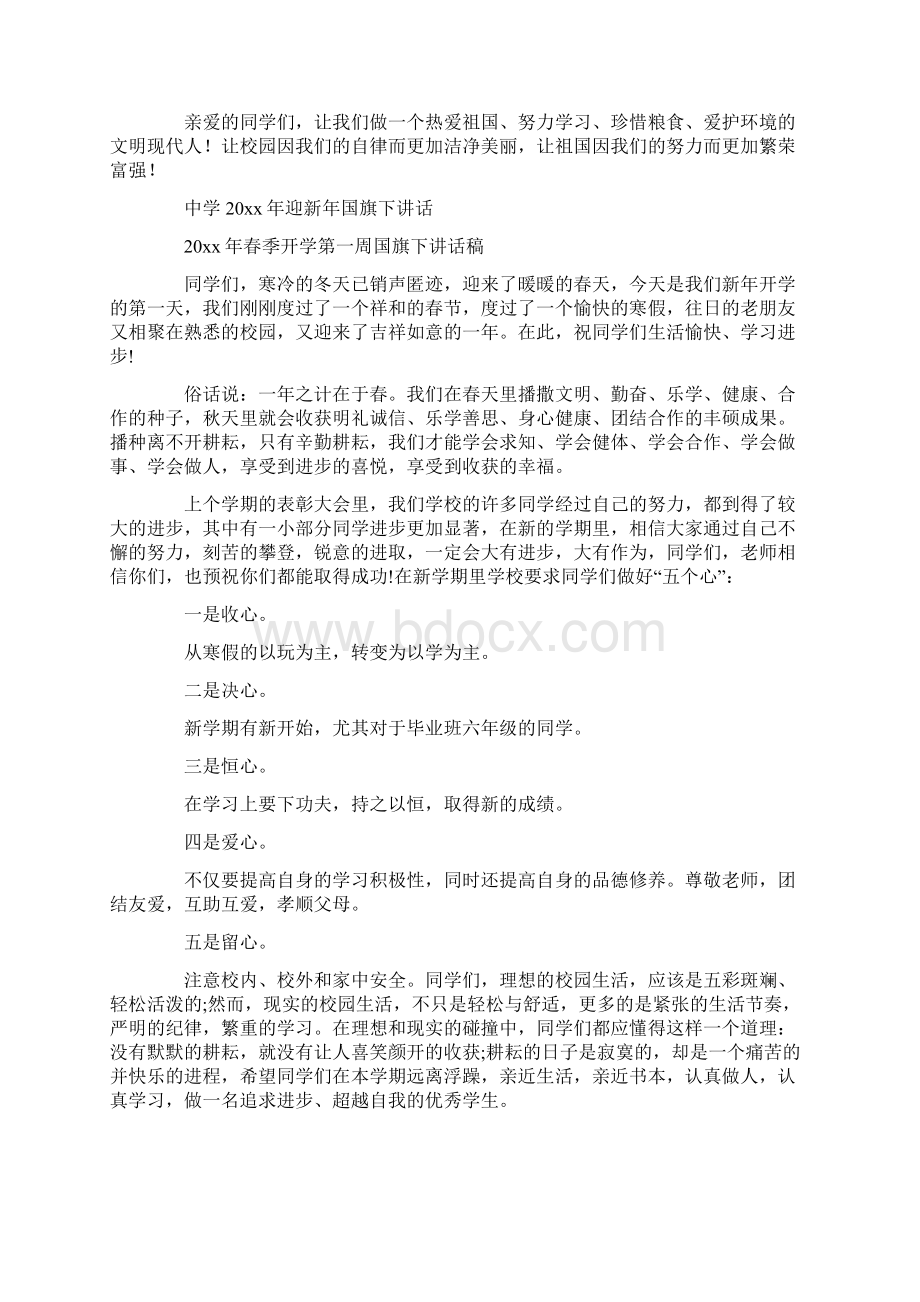 国旗下讲话新年致辞共27页.docx_第3页