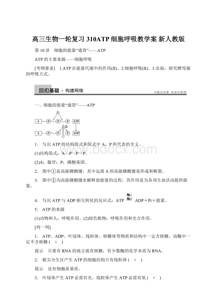 高三生物一轮复习 310ATP细胞呼吸教学案 新人教版Word文档格式.docx_第1页