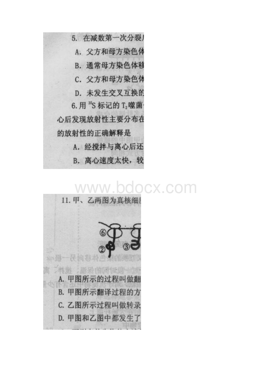 河南省新野三高学年高一下学期第二次阶段性考试生物试题 扫描版无答案Word文档格式.docx_第2页