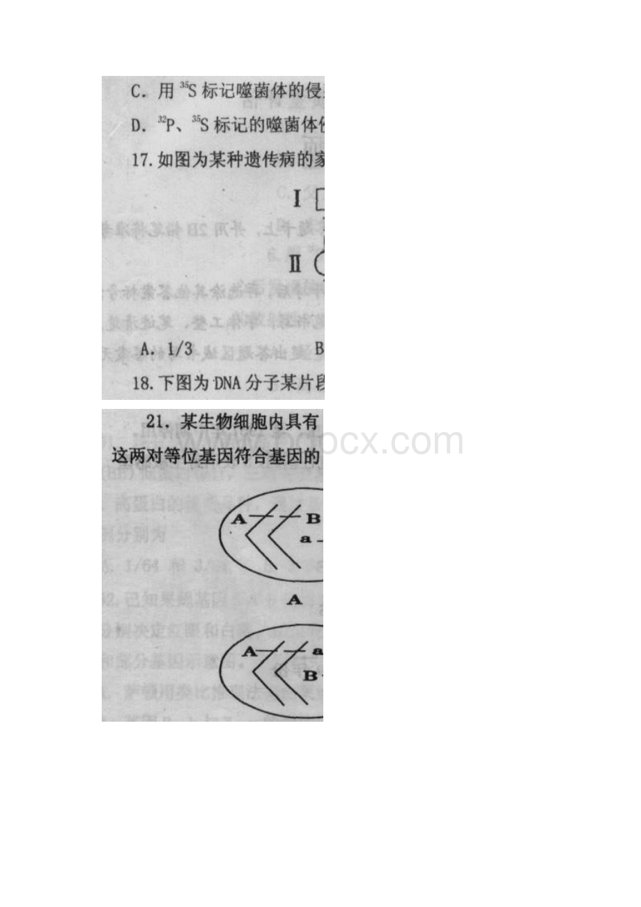 河南省新野三高学年高一下学期第二次阶段性考试生物试题 扫描版无答案Word文档格式.docx_第3页