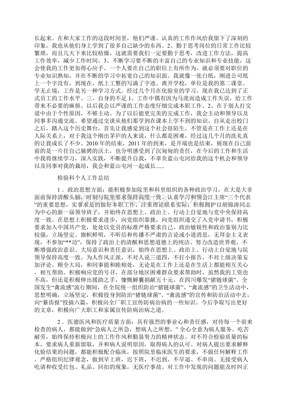 检测工作个人总结Word格式.docx_第2页