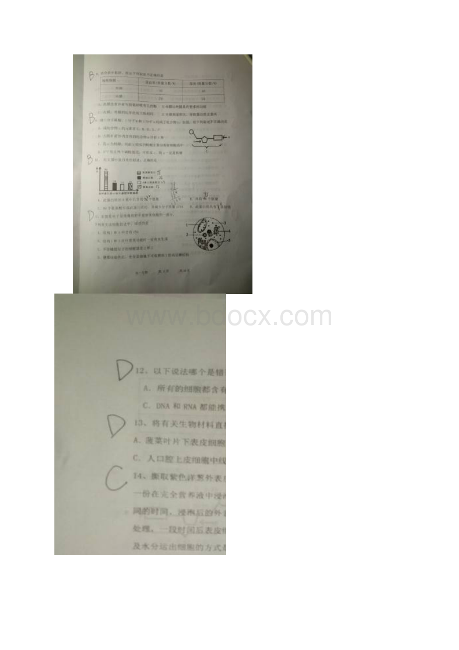 黑龙江省哈尔滨市第三中学学年高一上学期第三次验收考试生物试题 扫描版缺答案Word格式.docx_第2页