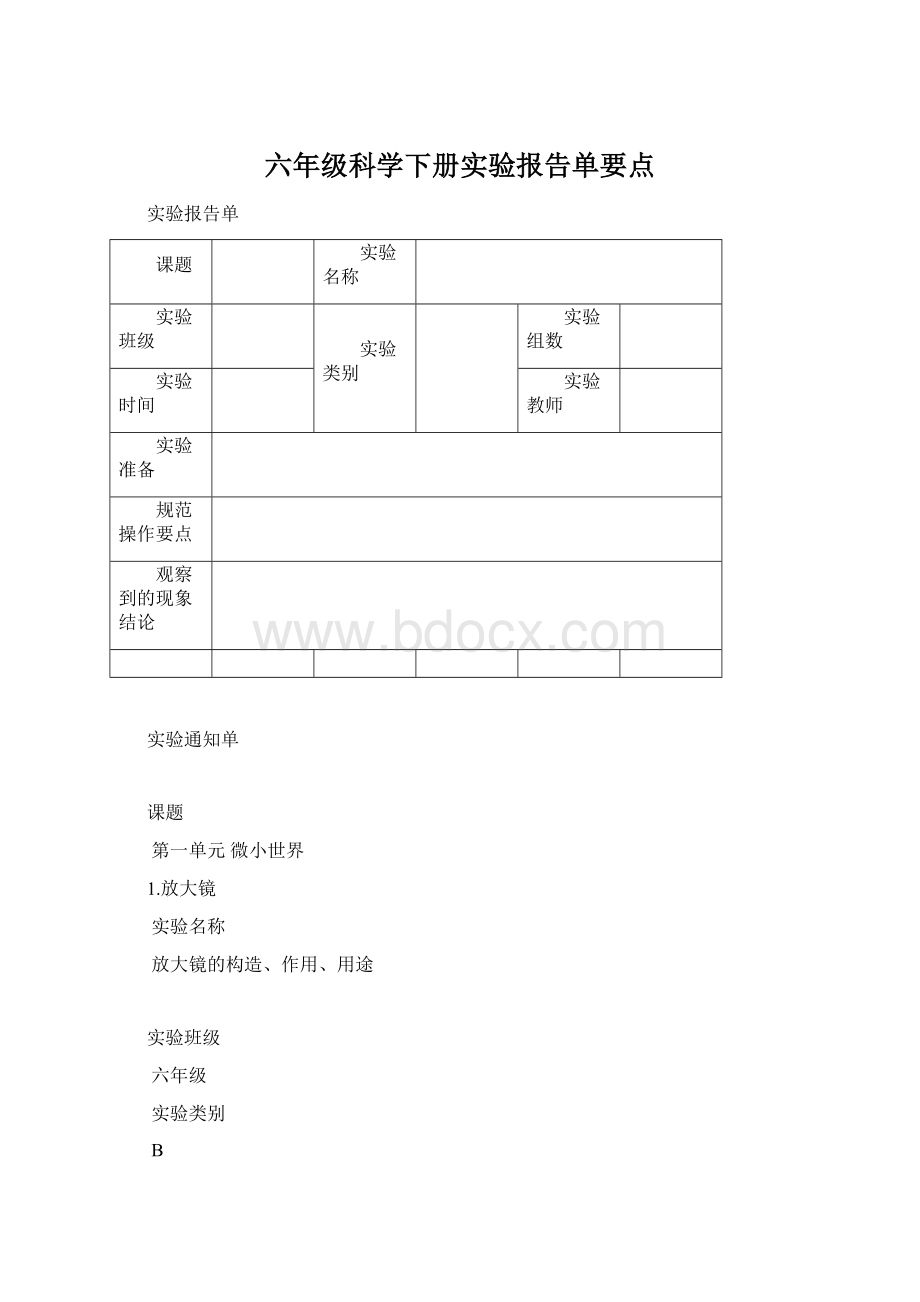 六年级科学下册实验报告单要点.docx