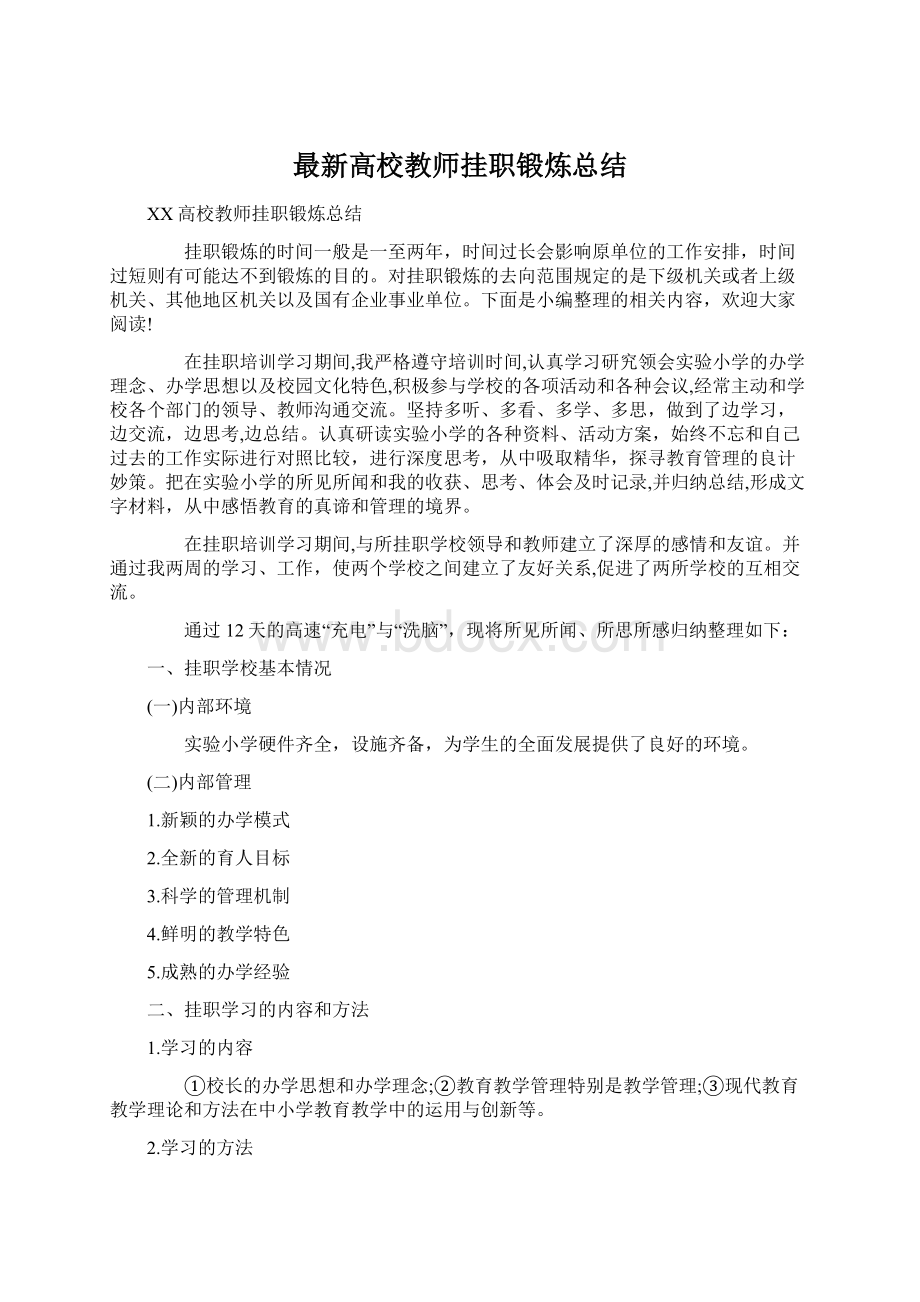 最新高校教师挂职锻炼总结Word下载.docx