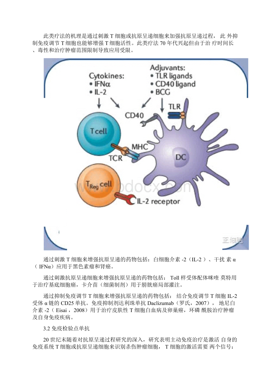 详解肿瘤免疫疗法.docx_第3页