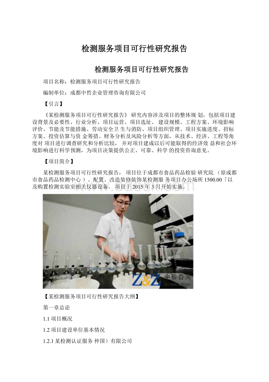 检测服务项目可行性研究报告.docx