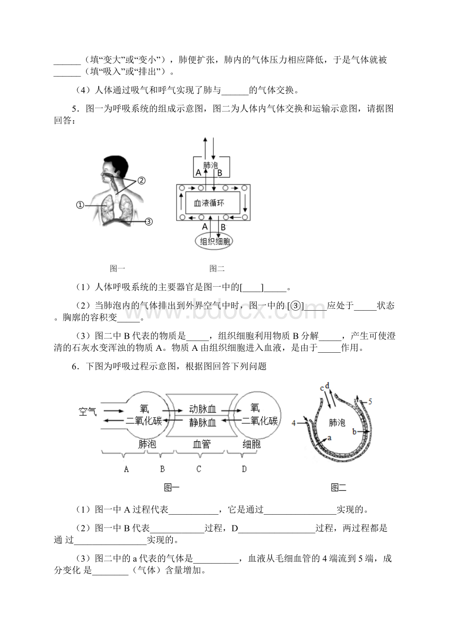 七年级生物下册期末非选择题综合探究题复习重点精选模拟.docx_第3页