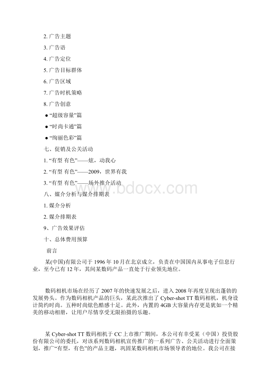 XX品牌TT数码相机CC市场推广营销策划方案.docx_第2页