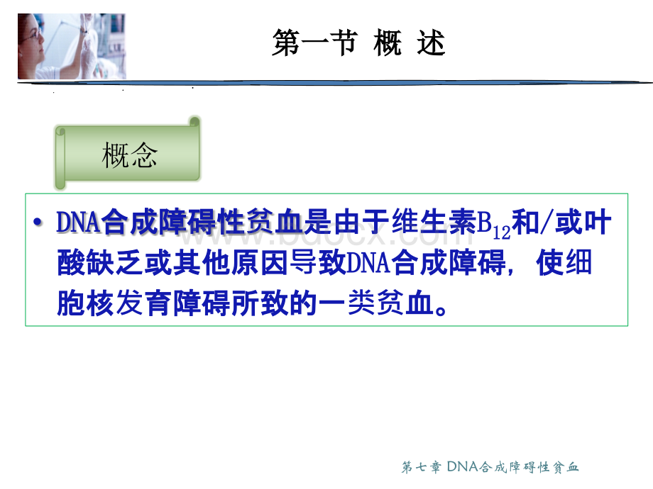 第七章DNA合成障碍性贫血.ppt_第2页