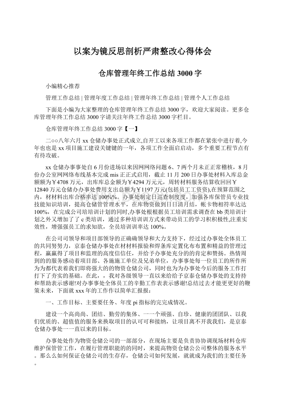 以案为镜反思剖析严肃整改心得体会文档格式.docx