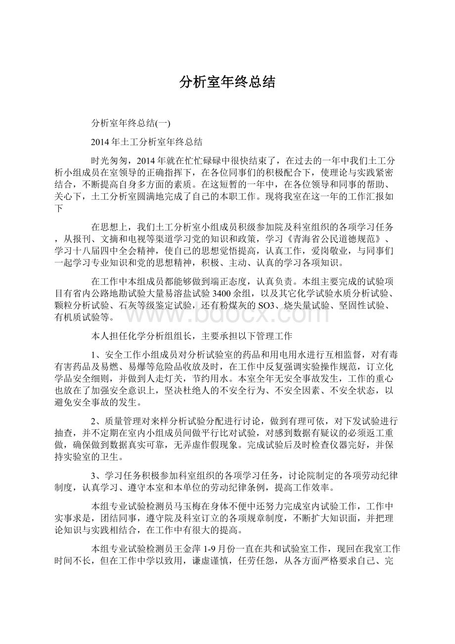 分析室年终总结Word格式文档下载.docx