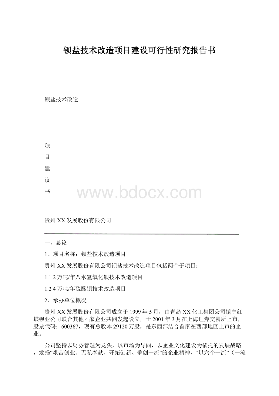 钡盐技术改造项目建设可行性研究报告书.docx_第1页