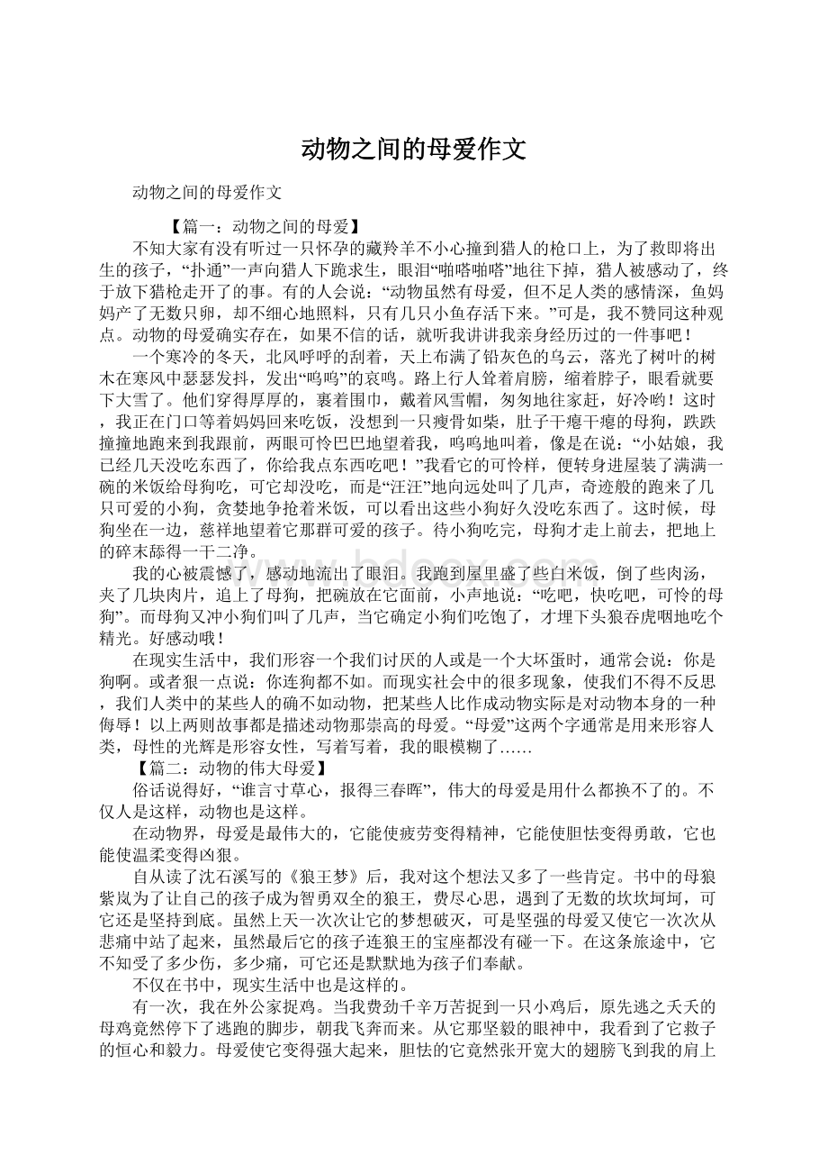 动物之间的母爱作文Word文档格式.docx_第1页