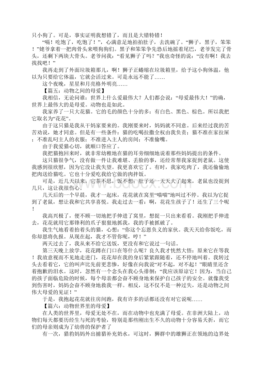 动物之间的母爱作文Word文档格式.docx_第3页