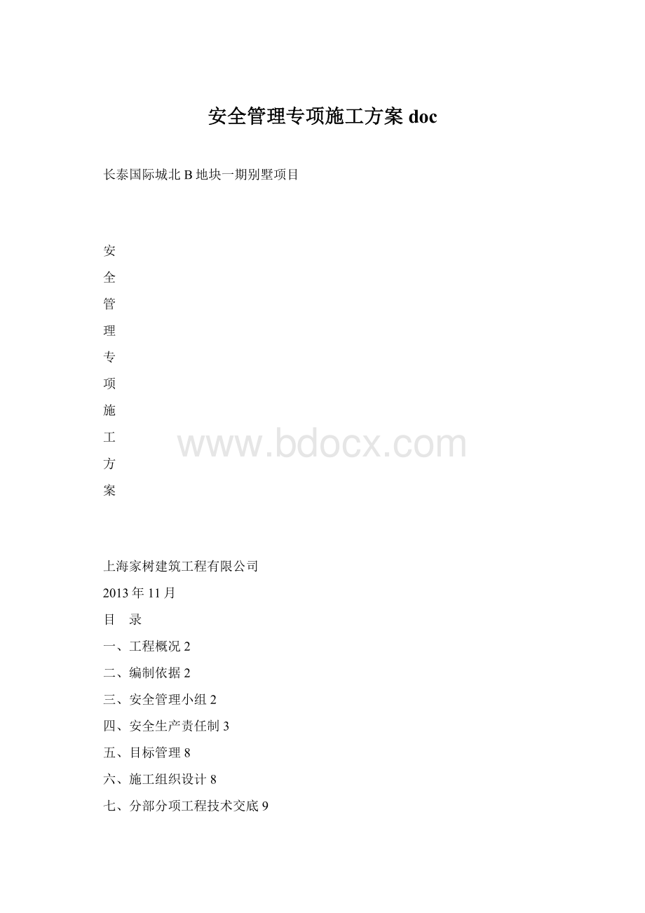 安全管理专项施工方案doc.docx_第1页