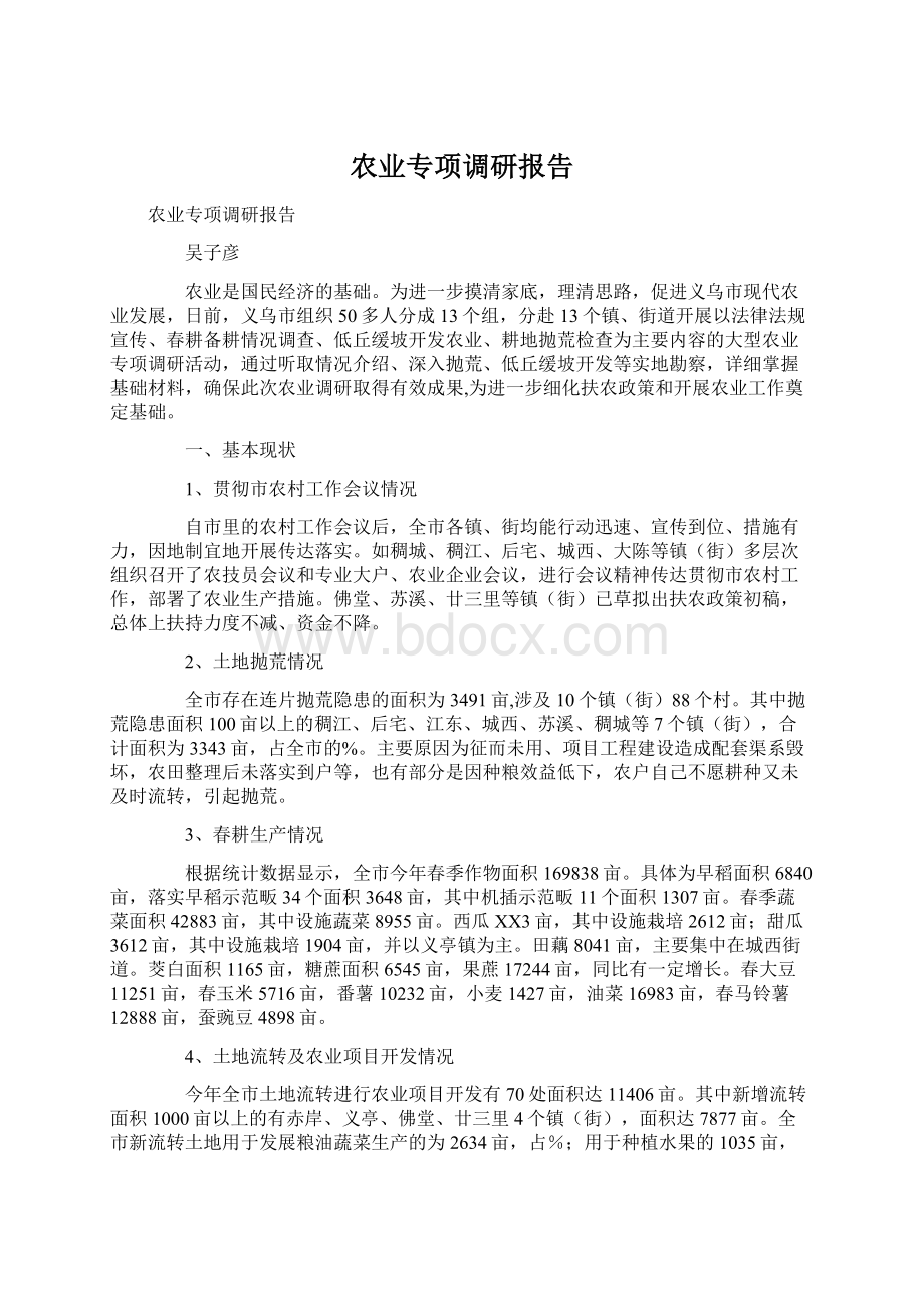 农业专项调研报告Word文档下载推荐.docx