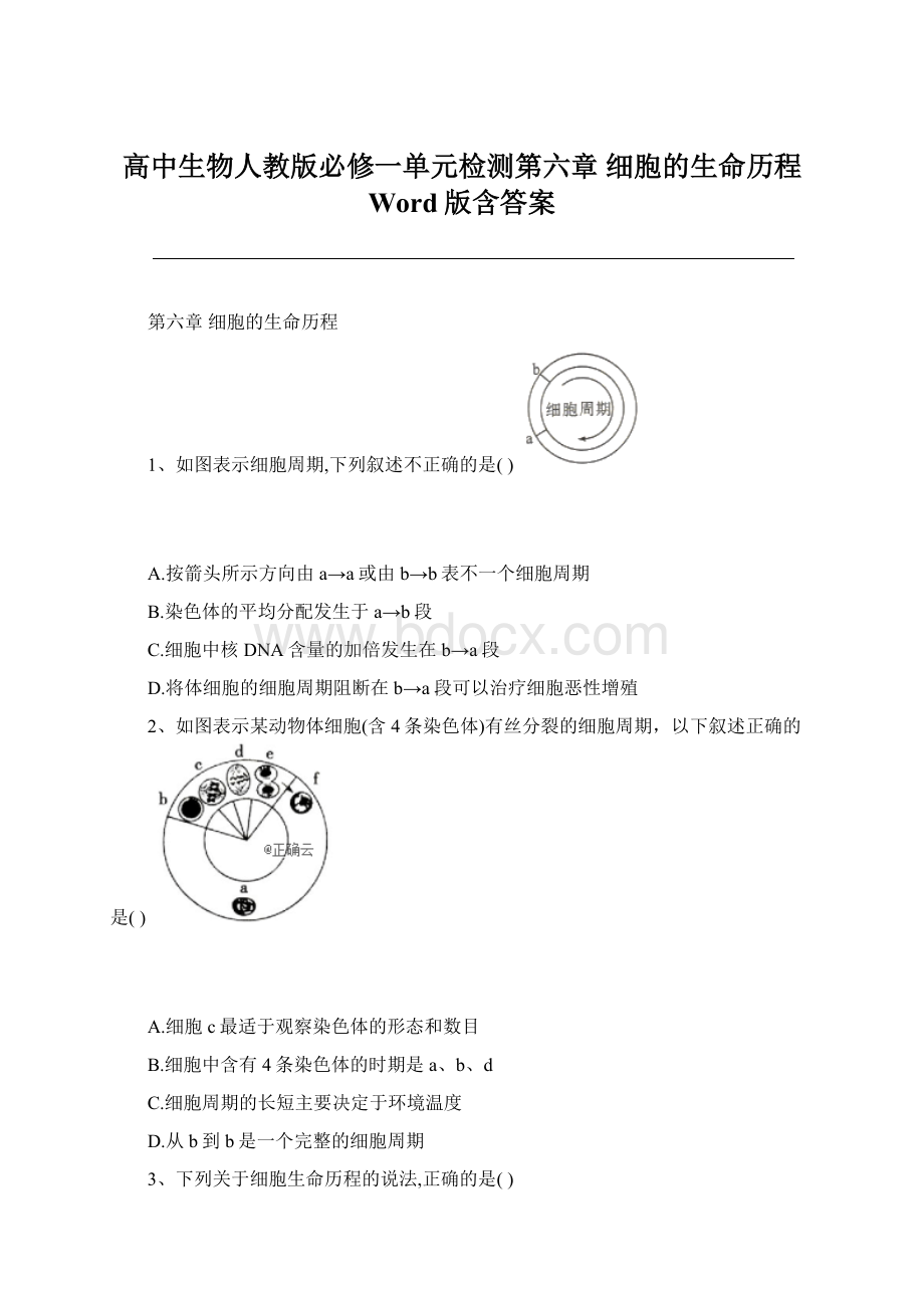 高中生物人教版必修一单元检测第六章 细胞的生命历程 Word版含答案Word格式.docx_第1页