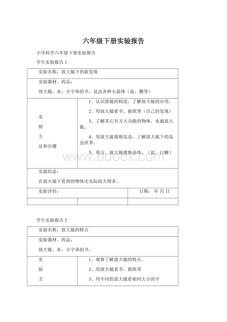 六年级下册实验报告.docx_第1页