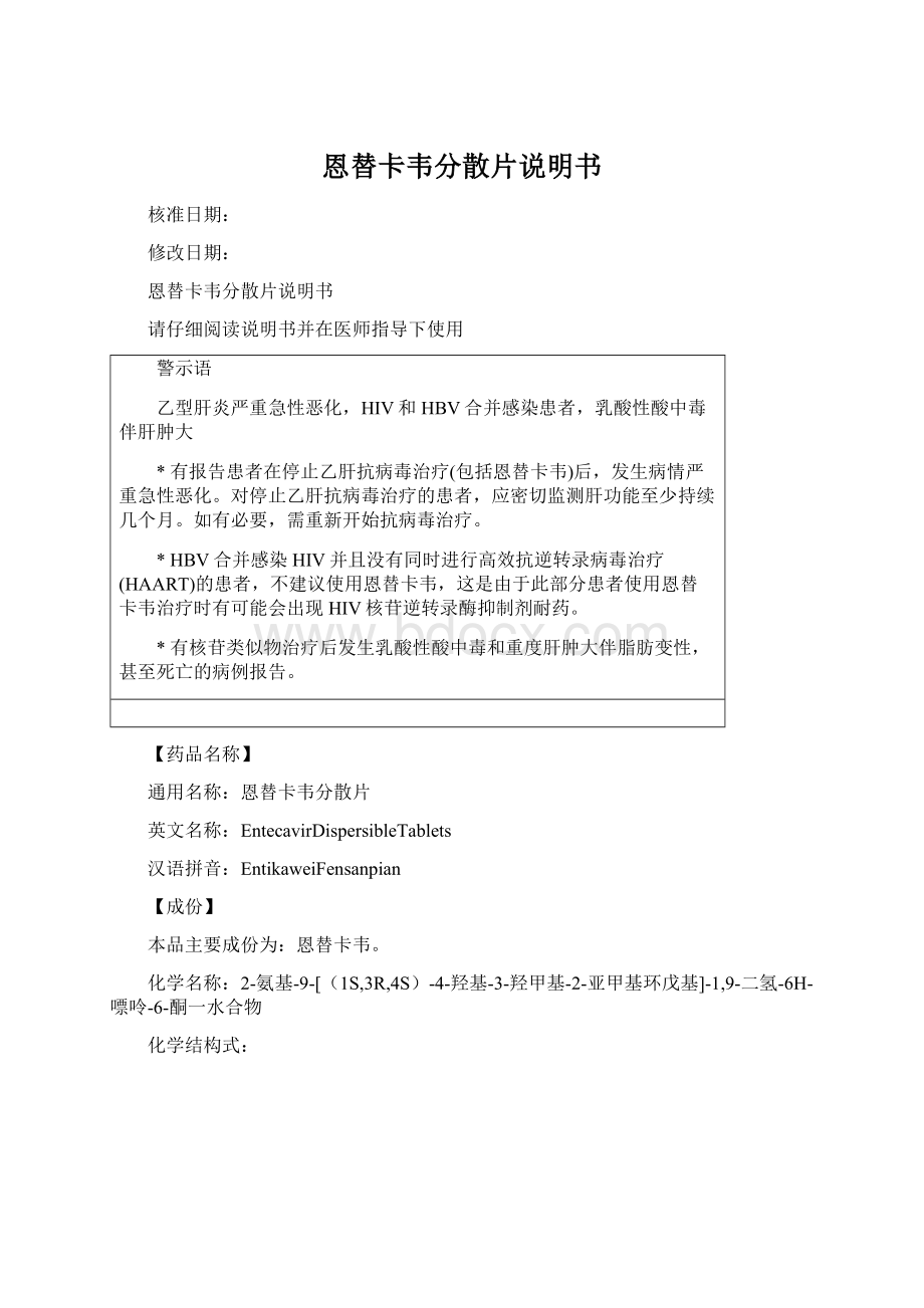 恩替卡韦分散片说明书文档格式.docx_第1页