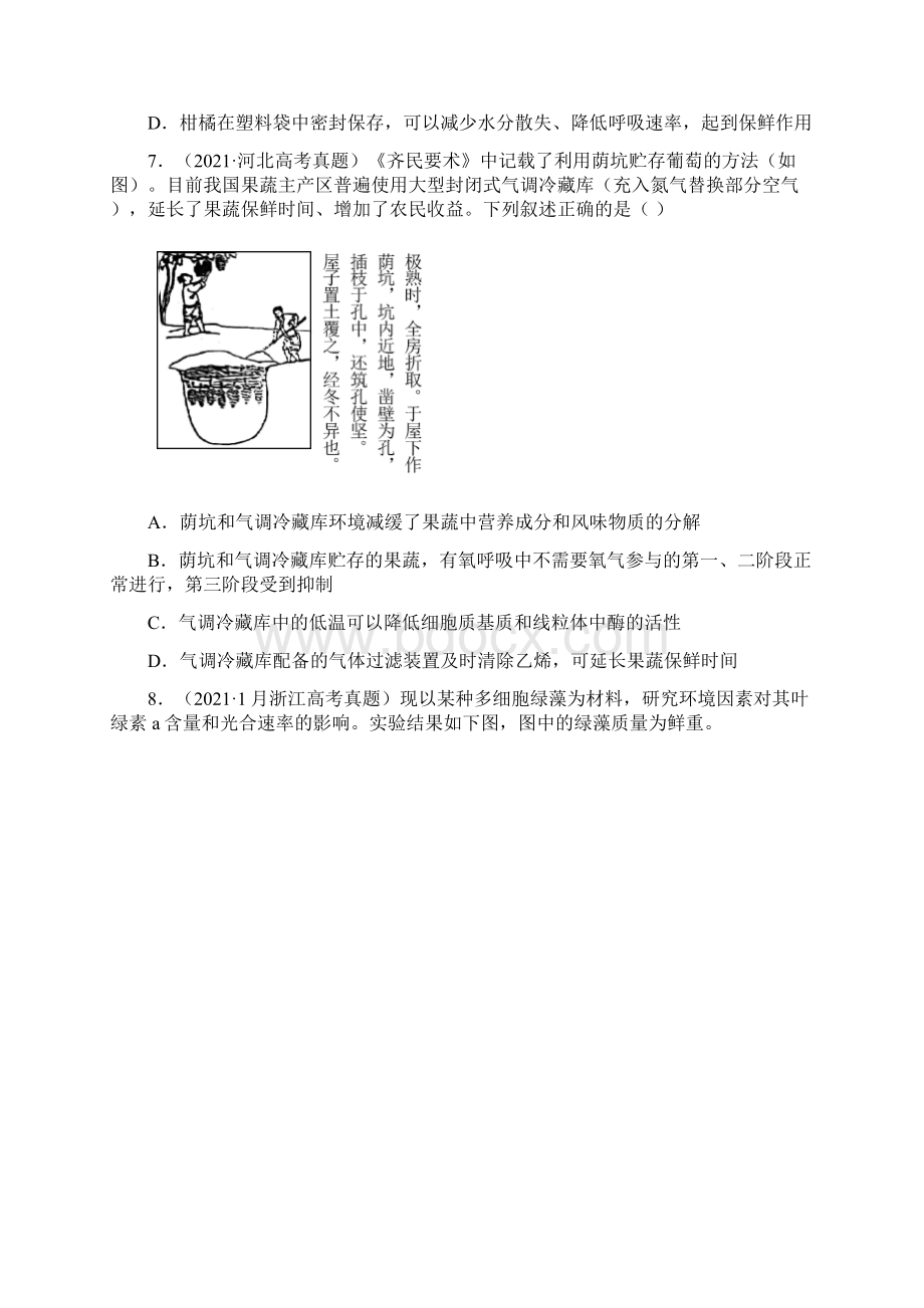 专题03 细胞呼吸与光合作用高考真题和模拟题生物分项汇编原卷版.docx_第3页