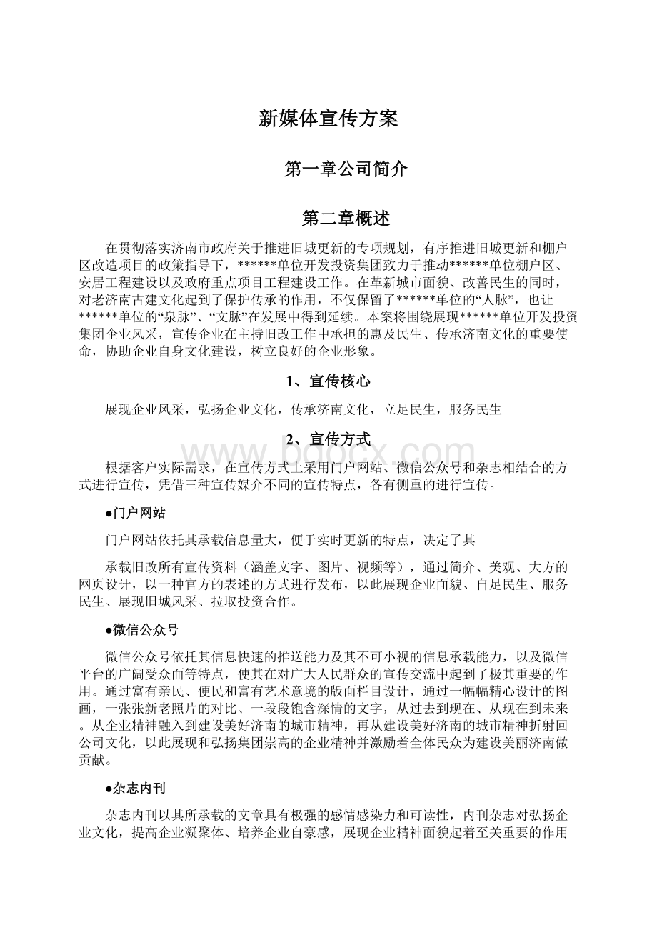 新媒体宣传方案Word格式.docx