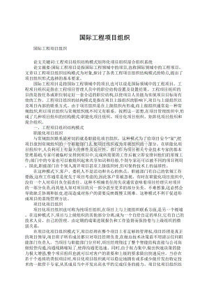 国际工程项目组织文档格式.docx