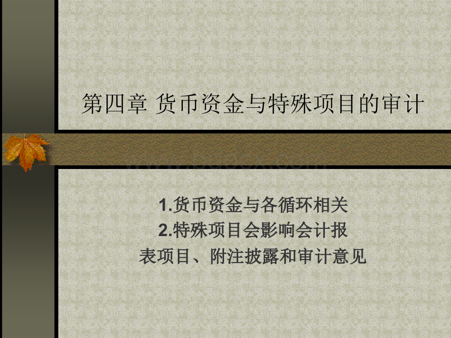 货币资金与特殊项目.ppt_第1页