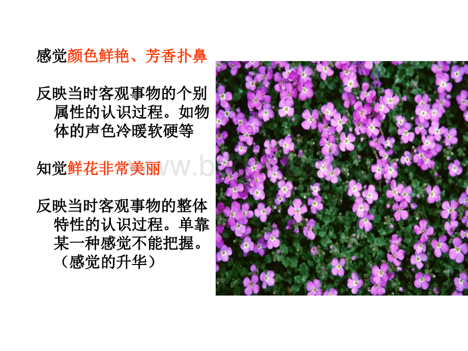 学前心理第一节PPT推荐.ppt_第3页