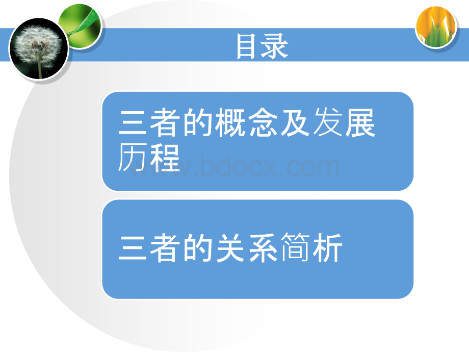 拓展型课程概述PPT课件下载推荐.ppt_第3页