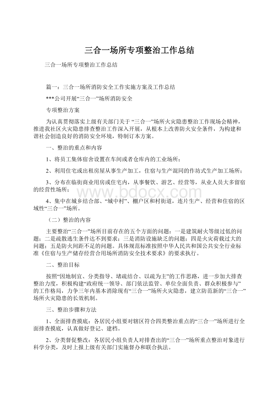 三合一场所专项整治工作总结.docx