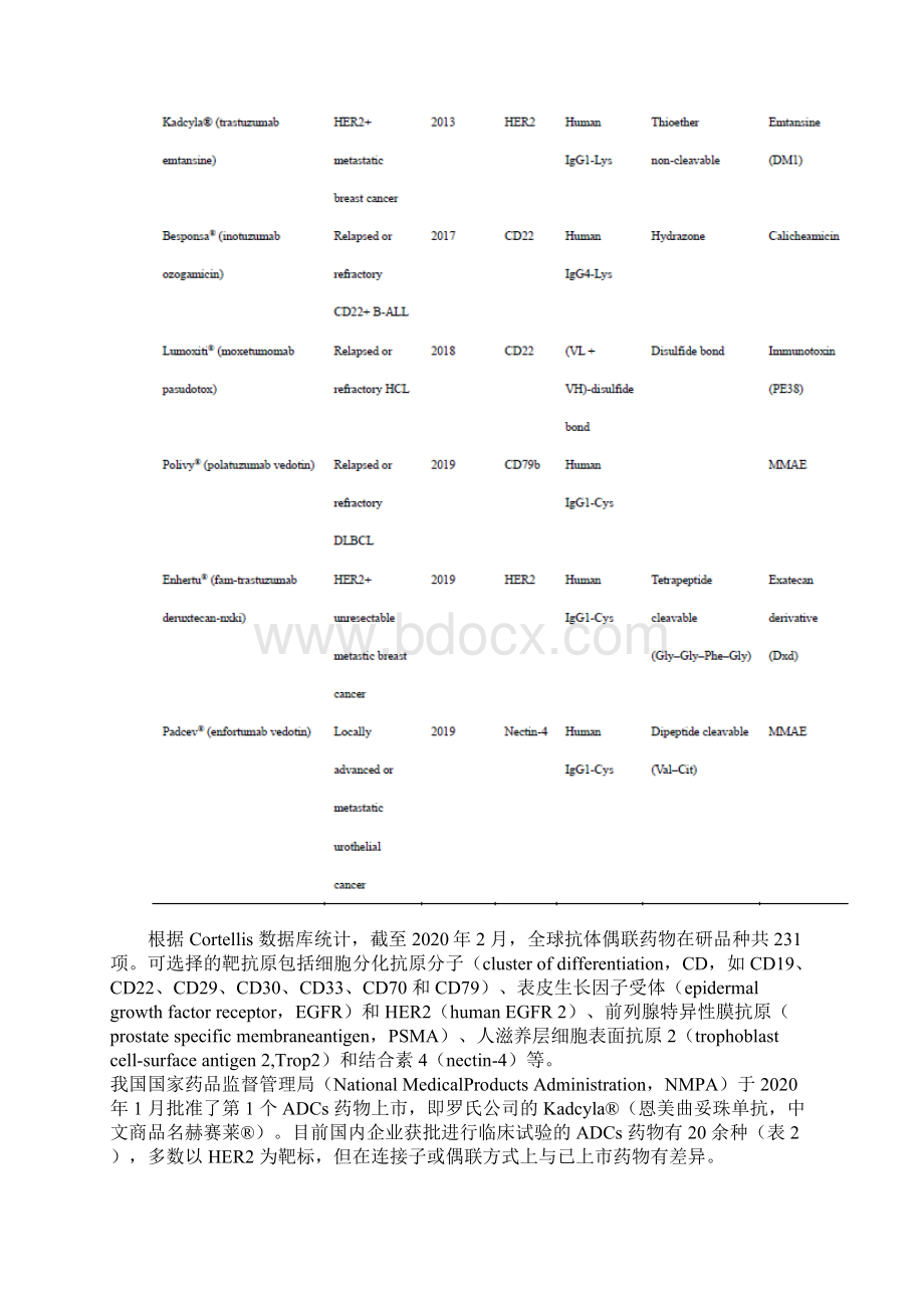 抗体偶联药物研发及药学审评要点.docx_第3页