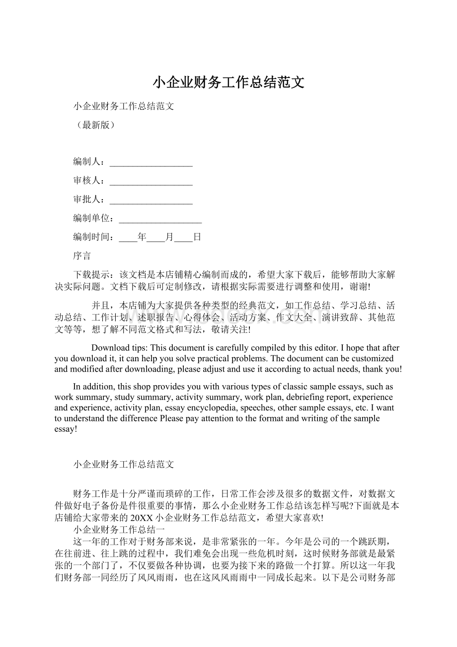 小企业财务工作总结范文.docx