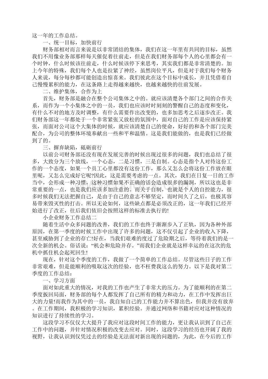 小企业财务工作总结范文.docx_第2页