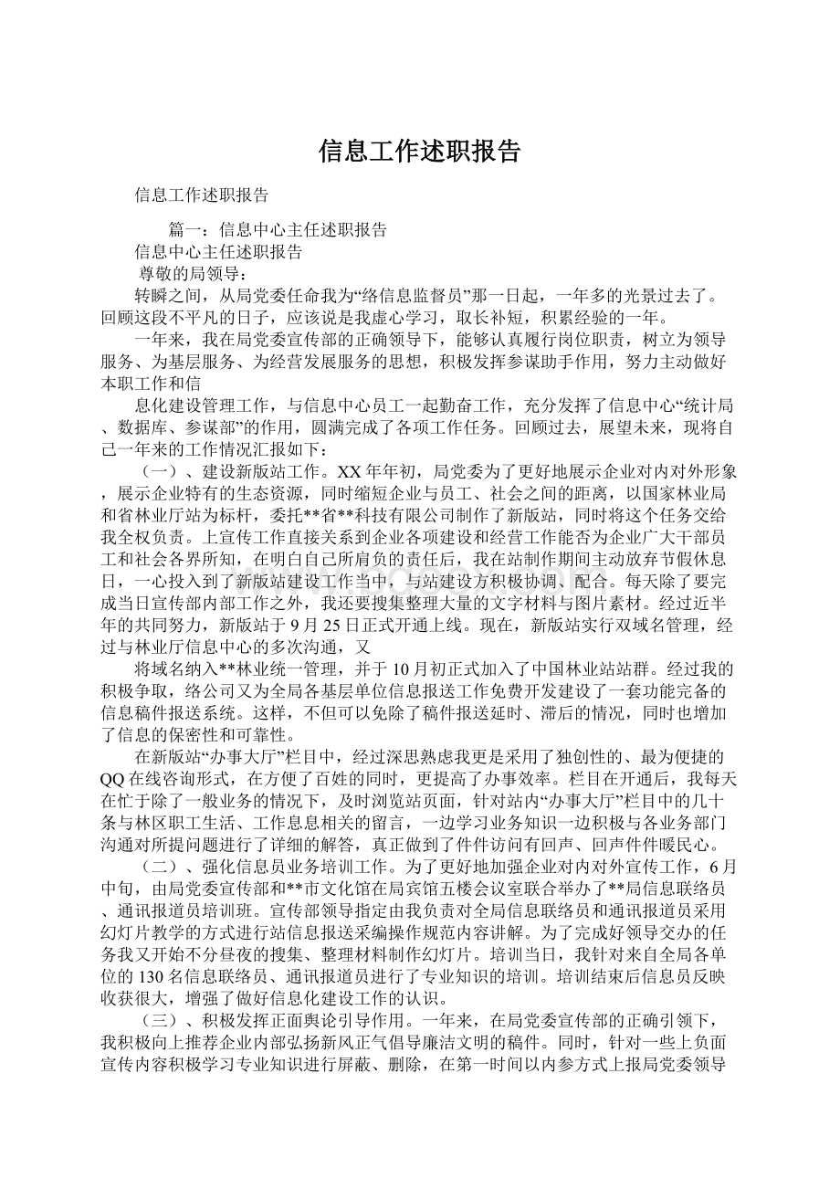 信息工作述职报告.docx