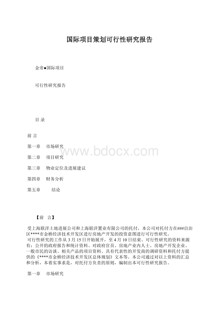 国际项目策划可行性研究报告.docx_第1页