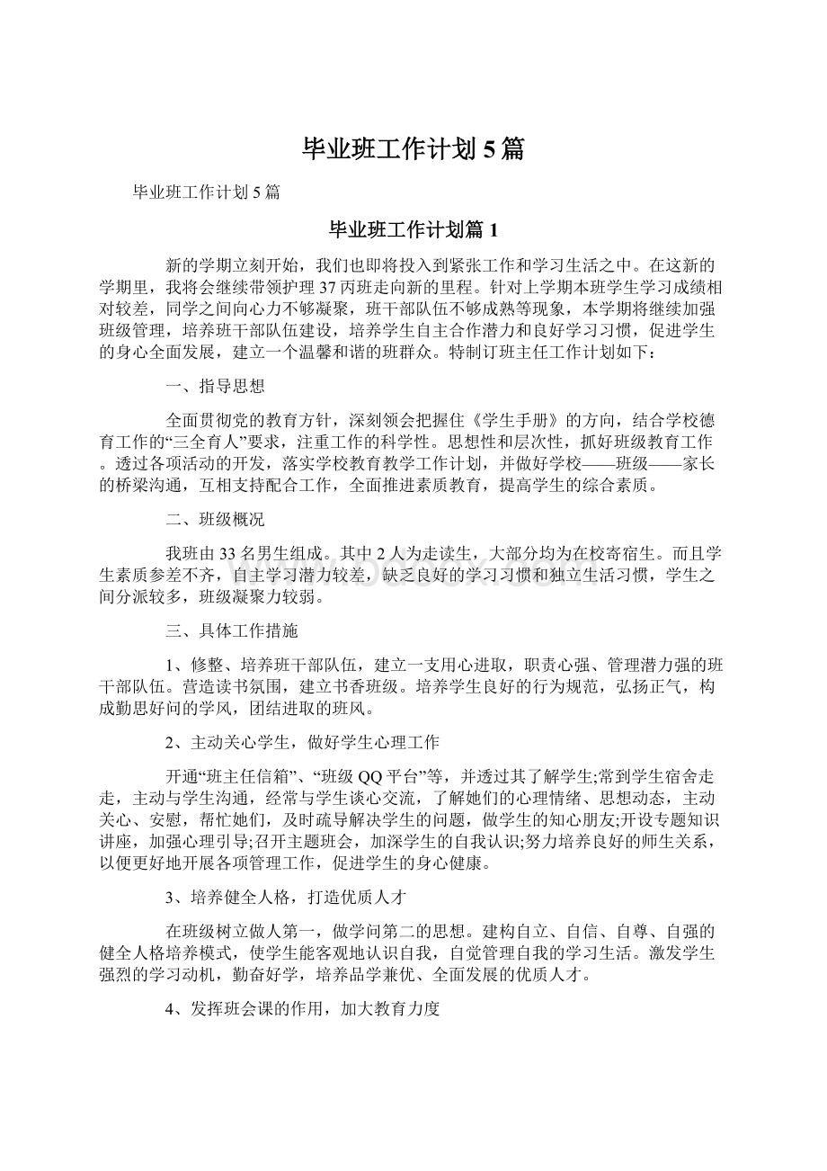 毕业班工作计划5篇文档格式.docx