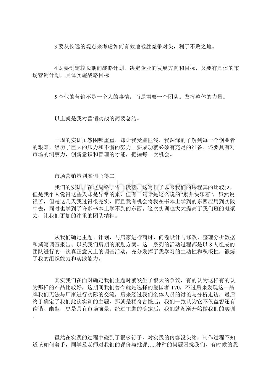 市场营销策划实训心得Word文档格式.docx_第2页