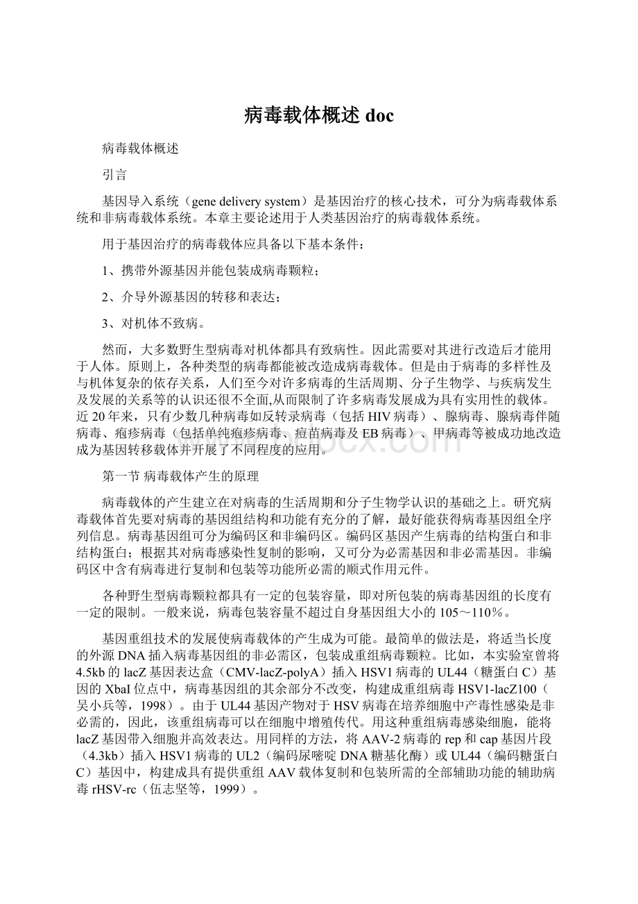 病毒载体概述doc文档格式.docx