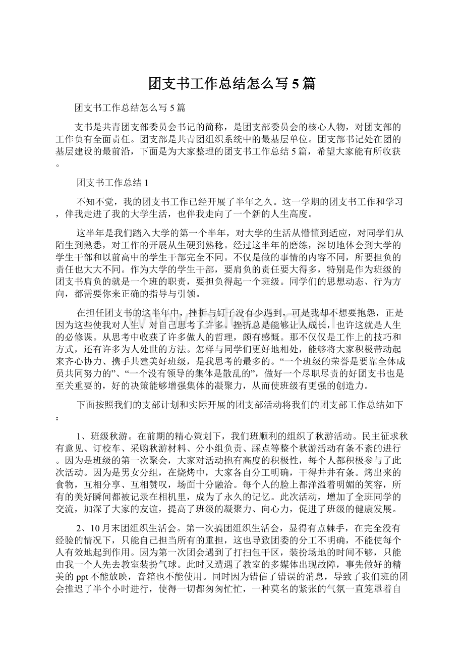 团支书工作总结怎么写5篇Word格式文档下载.docx