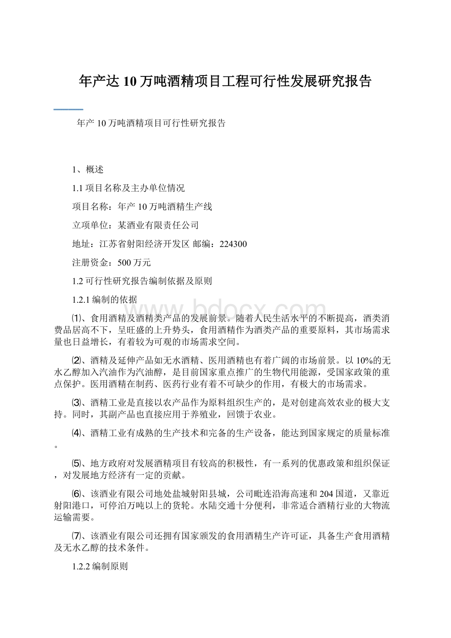 年产达10万吨酒精项目工程可行性发展研究报告Word格式.docx_第1页