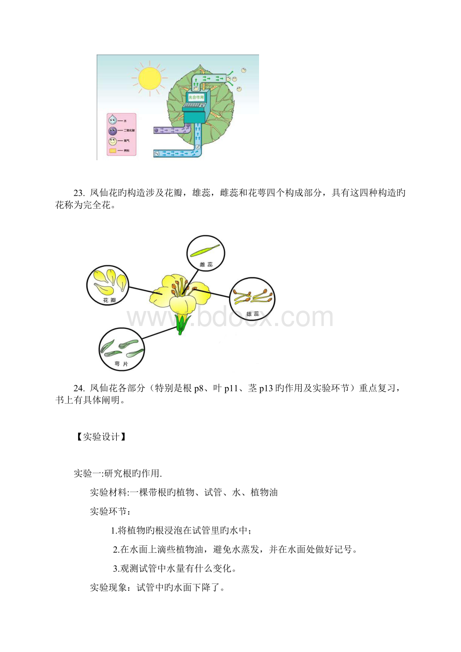 教科版小学三年级下册科学每个单元知识点整理全册.docx_第3页