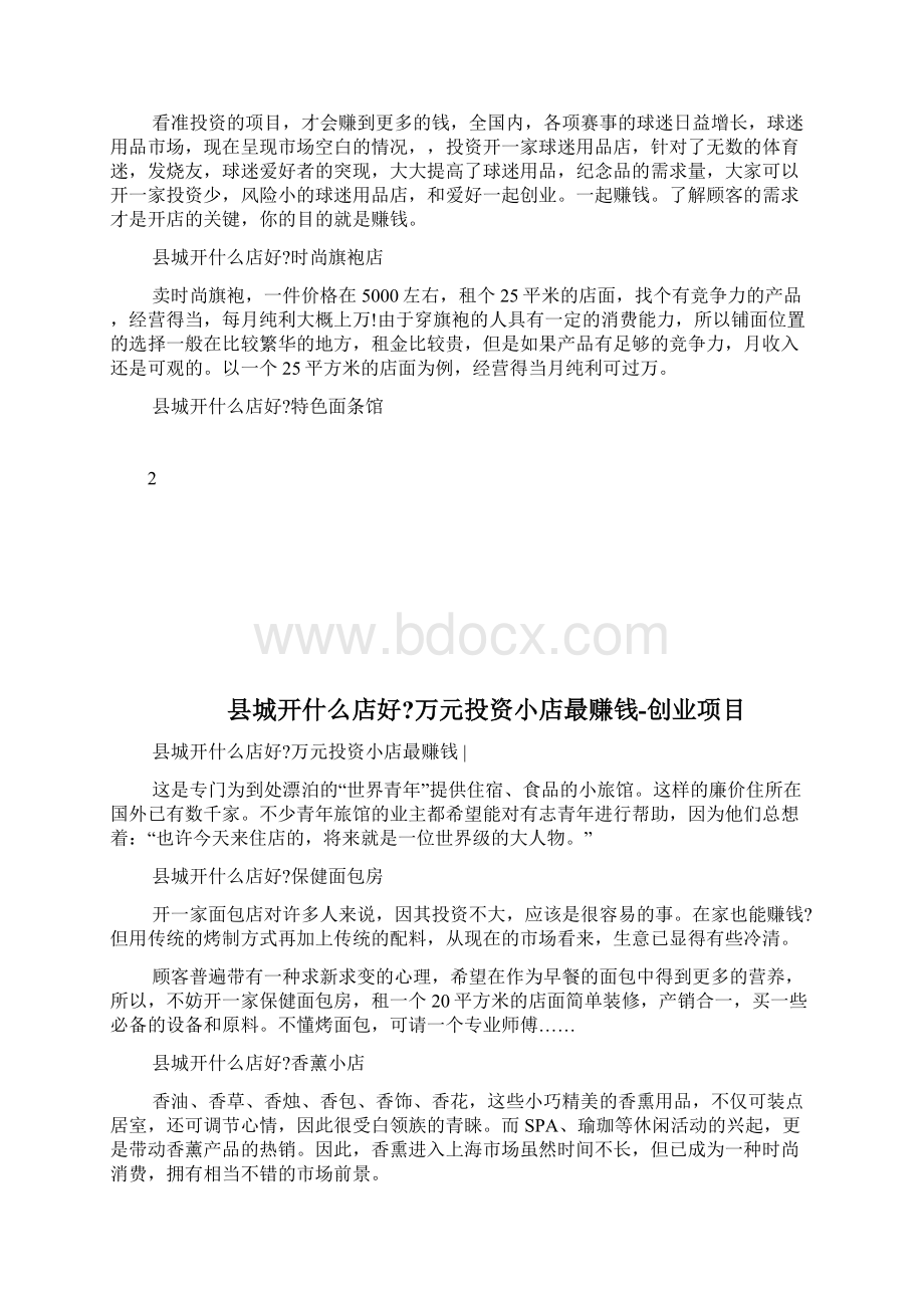 县城开什么店好万元投资小店最赚钱创业项目docWord文件下载.docx_第2页