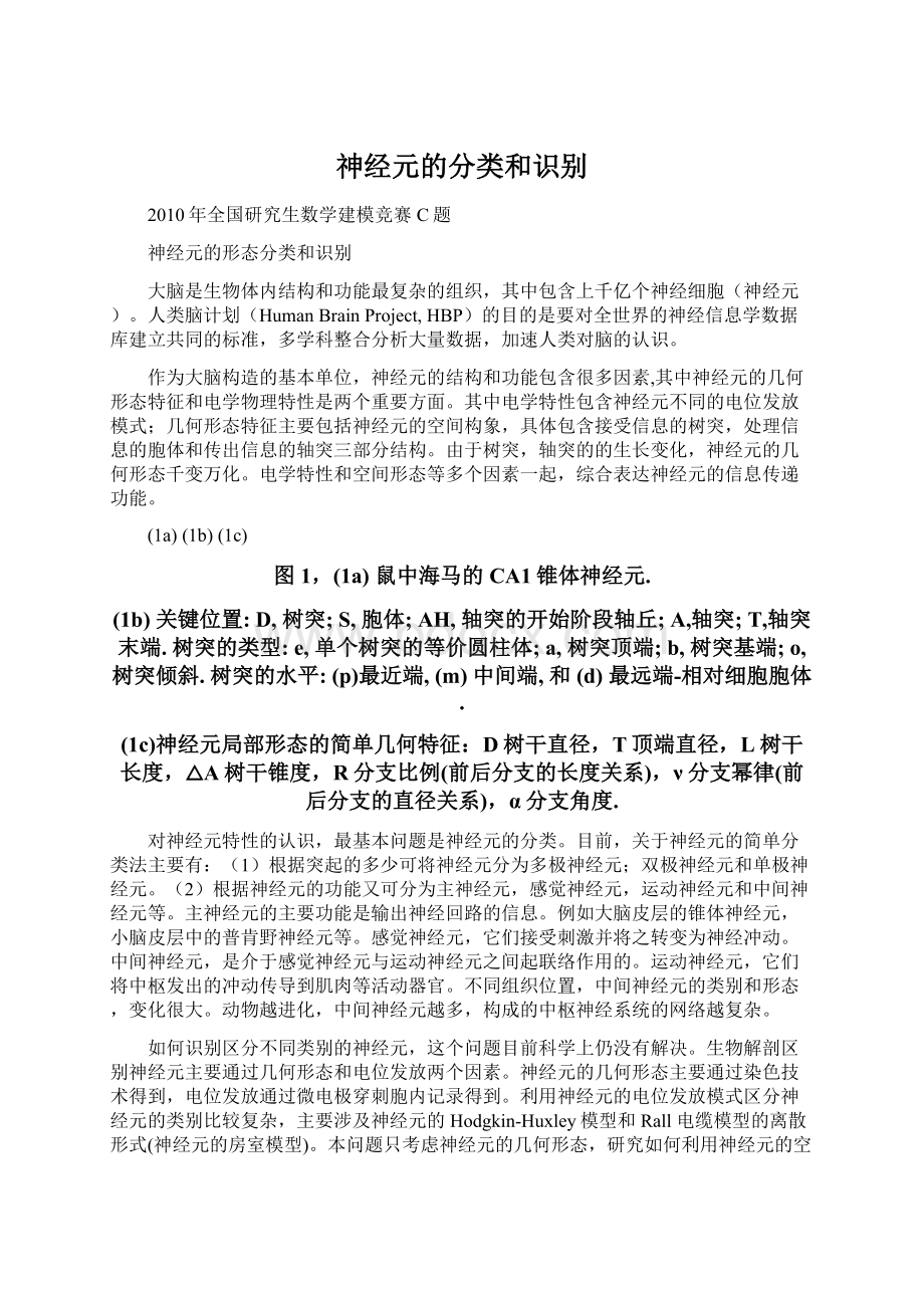 神经元的分类和识别.docx_第1页