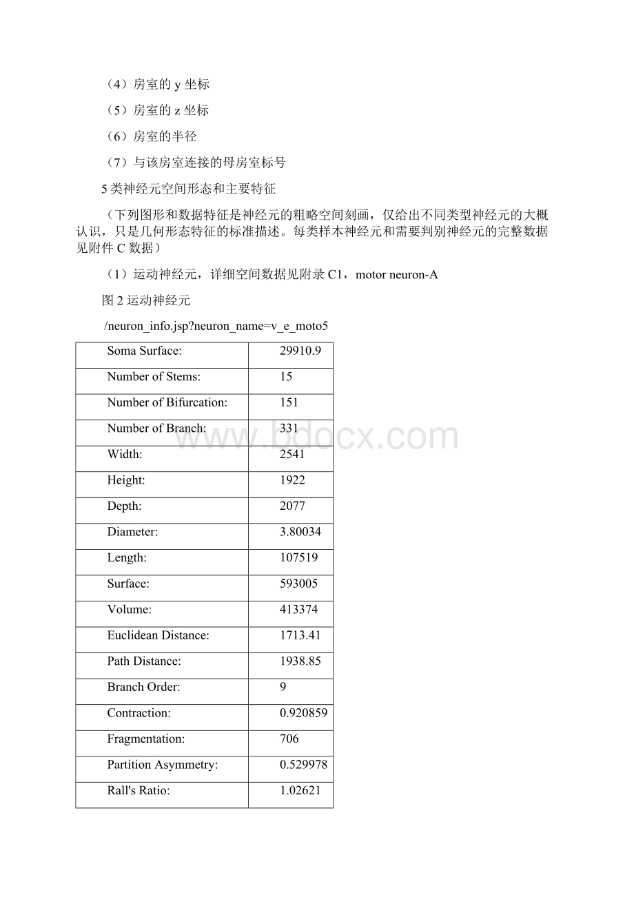 神经元的分类和识别.docx_第3页