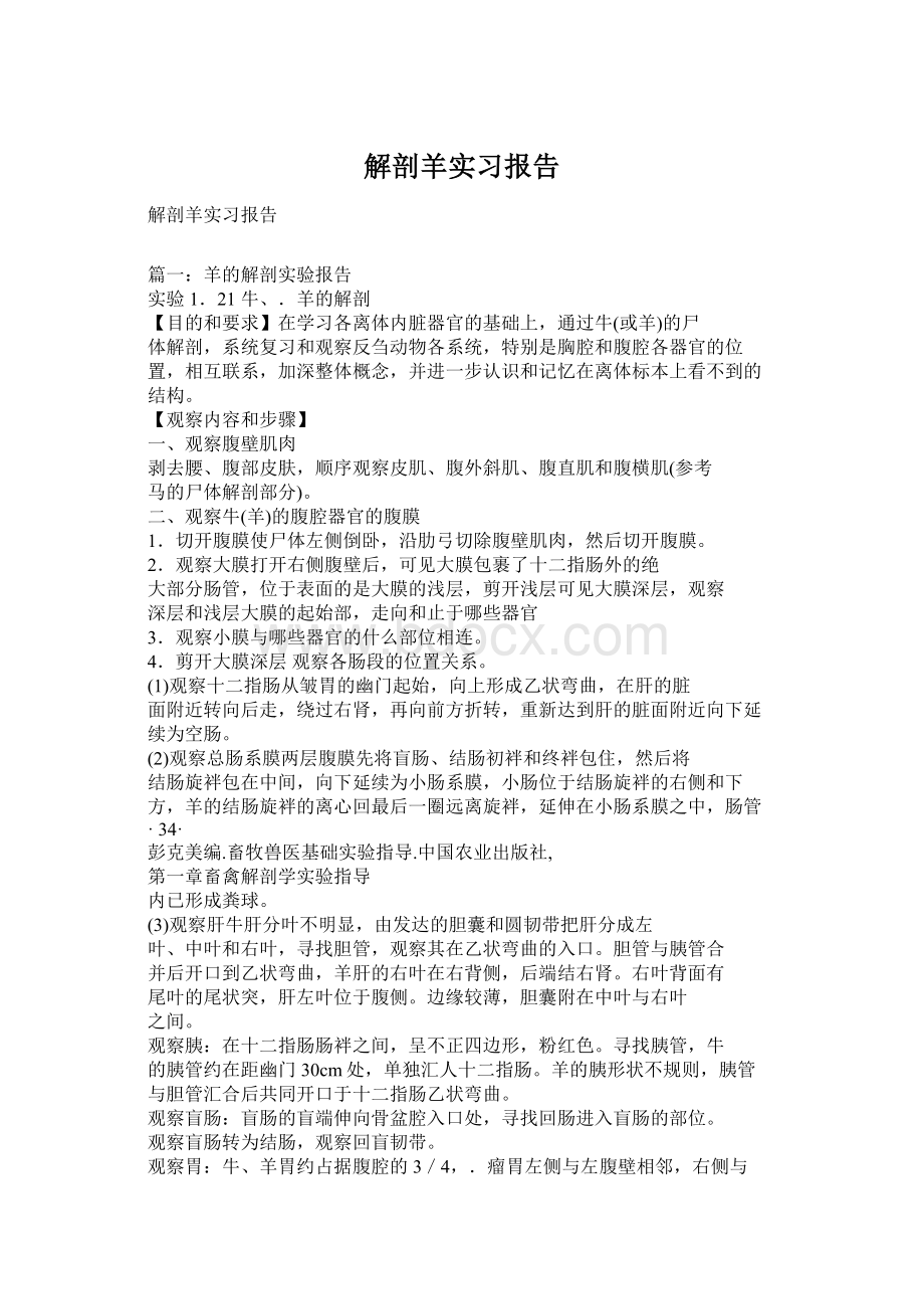 解剖羊实习报告.docx_第1页