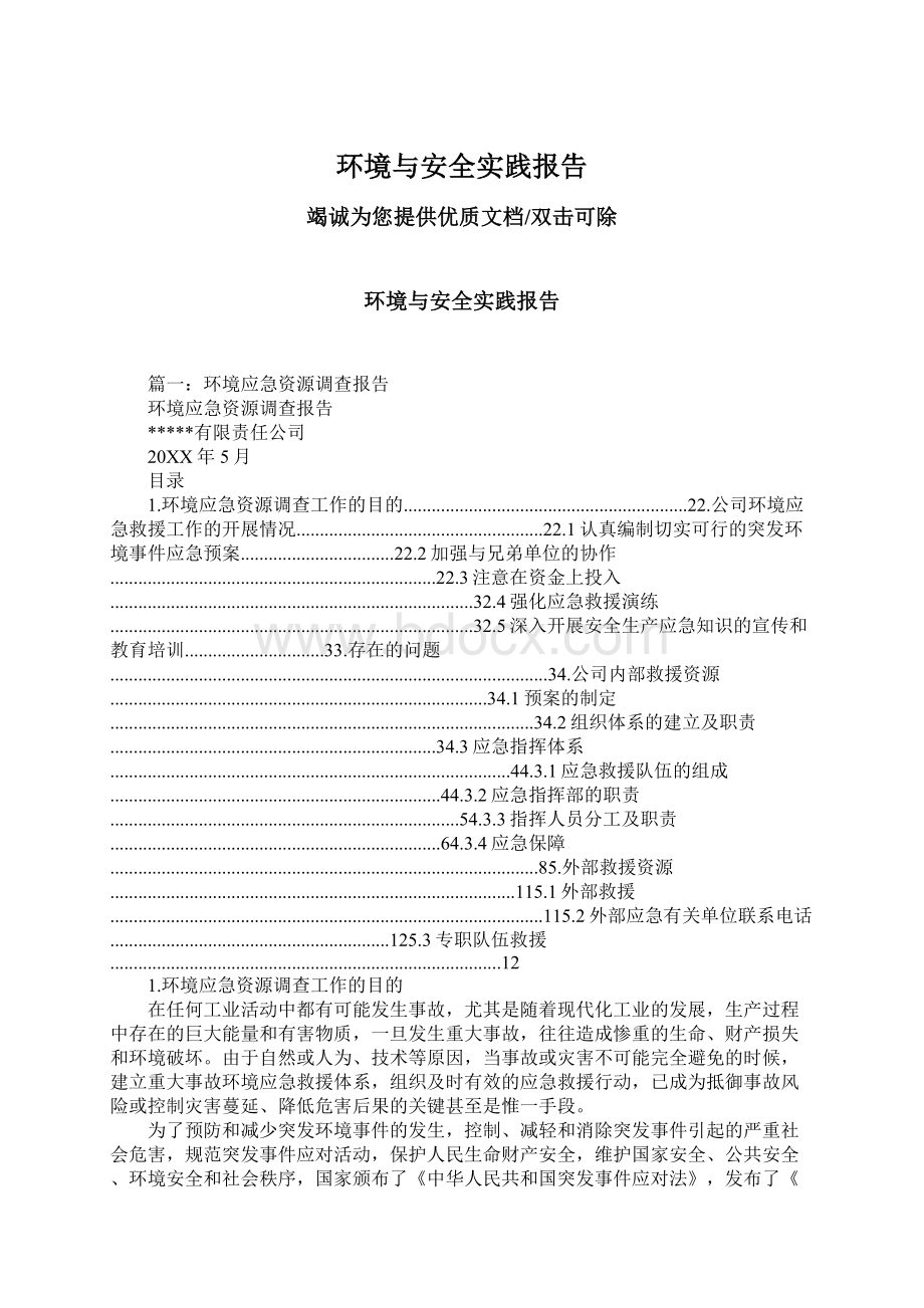 环境与安全实践报告.docx_第1页